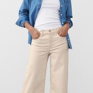 Banana Republic Hi Rise Wide Leg Denim Jean